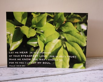 Bible Verse Postcard Set x5, Green Leaves, Psalm 143:8, Easter card, bible verse print, christian card, photo card, bible art, greeting card