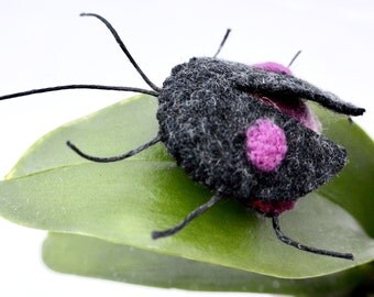Organic Catnip Felted Wool Beetle Cat Toy