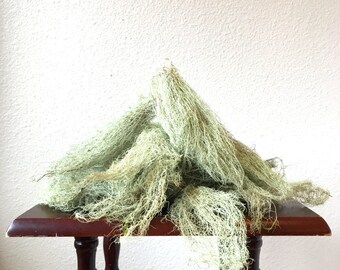 Old Man's Beard Lichen .5 oz / Moss .5 oz / Usnea / Green