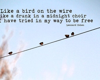 two birds on a wire lyrics