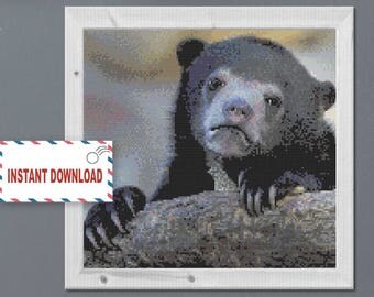 Confession Bear Cross Sitch