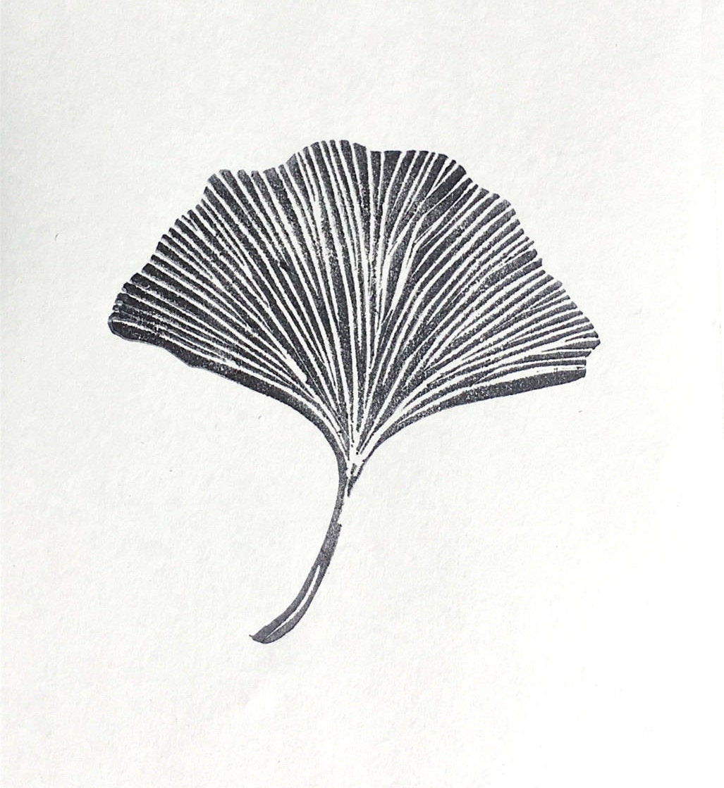 clip art ginkgo leaf - photo #48