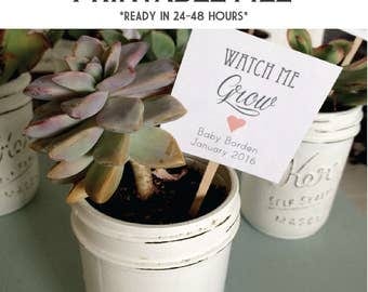 PRINTABLE 24-48 hour turnaround - Watch Me Grow tags - ready in 24-48 hours