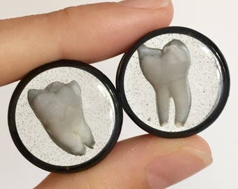 22mm Human Teeth Ear Plugs Gauges Pair 7/8", Real Human Tooth Earrings Body Jewelry, Taxidermy Creepy Cute Pastel Goth:DEAD EARS by {118}