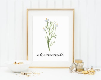 Chamomile Printable Herb Prints Rustic Art Print Wall Decor Chamomile Printable Herb Prints Rustic Art Print Wall Decor