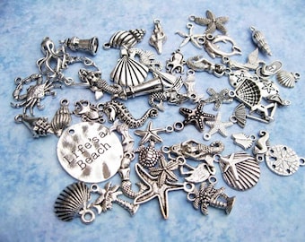 BIG Beach Charm Collection - C2521