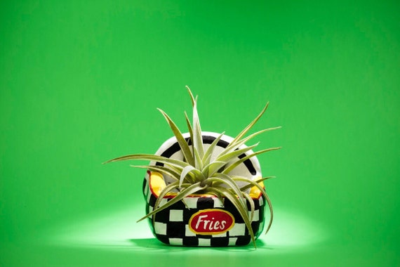 CHECKERS FRIES PLANTER
