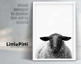 Farm animal print, sheep print, farmhouse decor, farm animal wall art, sheep art, sheep wall art, black sheep print, sheep room decor