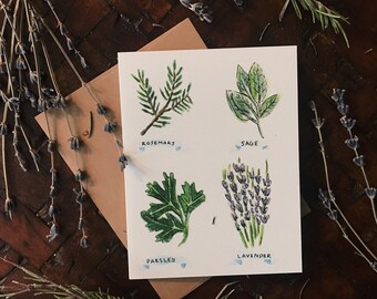 Garden Herbs Greeting Card - Rosemary - Sage - Parsley- Lavender A-2 Single Card