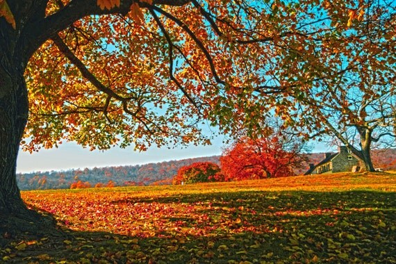 Nature canvas wall art Fall canvas gallery wrap Autumn
