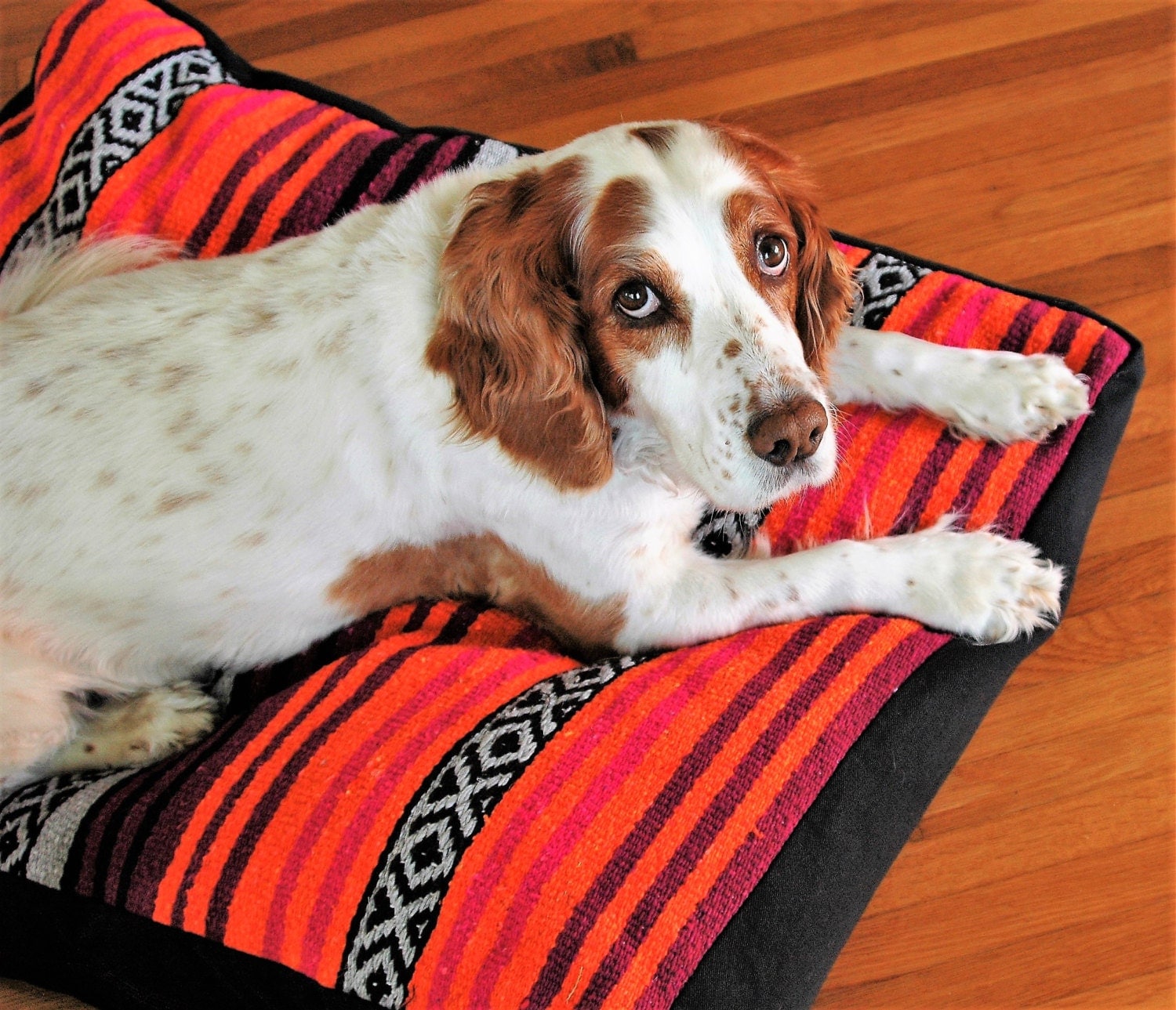 Mexican Design Blanket Dog Bed Cover Pet Bed Machine
