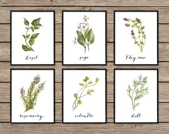 Herb Print Set, Botanical Print Set, Botanical Prints, Herb Prints, Botanical Wall Art, Herb Decor, Herb Printables, Botanical Decor