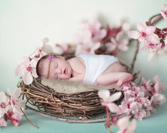 Nest In Cherry Tree - Newborn Digital Background