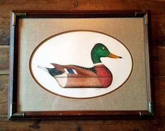 Arthur Nevin Decoy Print Mallard Drake, Duck Prints, Arthur Nevin, Mallard Ducks, Vintage Prints, Vintage Duck Prints