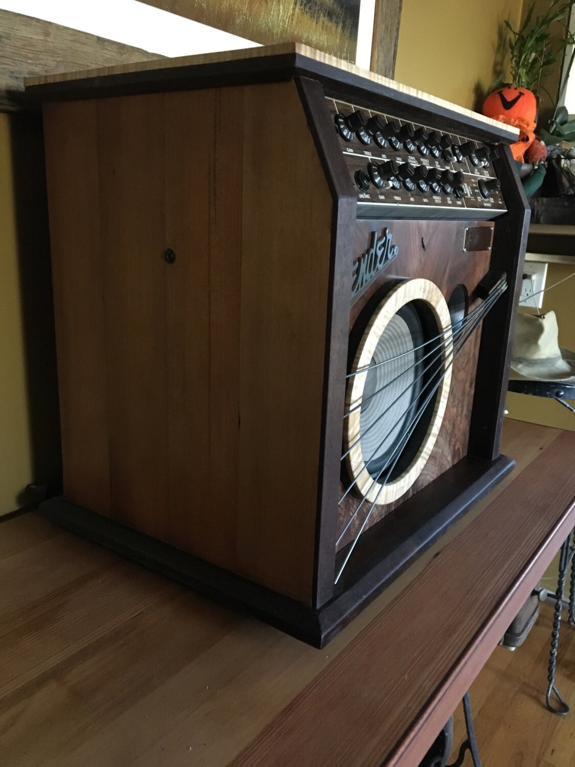 Acoustic Fender guitar amplifier in a handmade wooden case