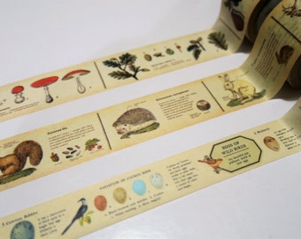MT ex Vintage Encyclopedia Washi Tape Samples 300cm