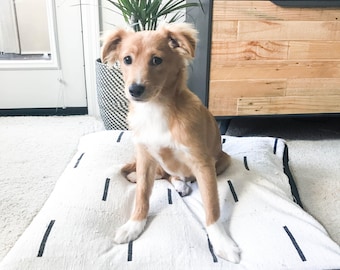 Vintage Textile Dog Bed - Tony