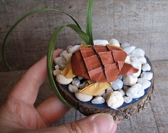 Tory The Turtle Origami Art by Paper Disciple and Tanja Sova