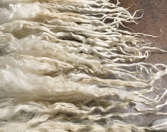 Long Suri Alpaca Locks, 11 Inches, White, 2 Ounces, Christianne