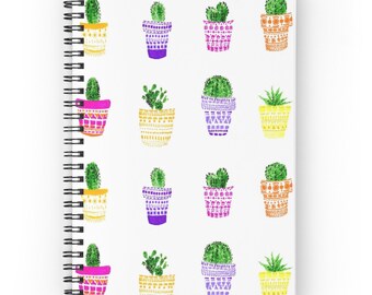 spiral cactus for sale australia spiral cactus for sale australia