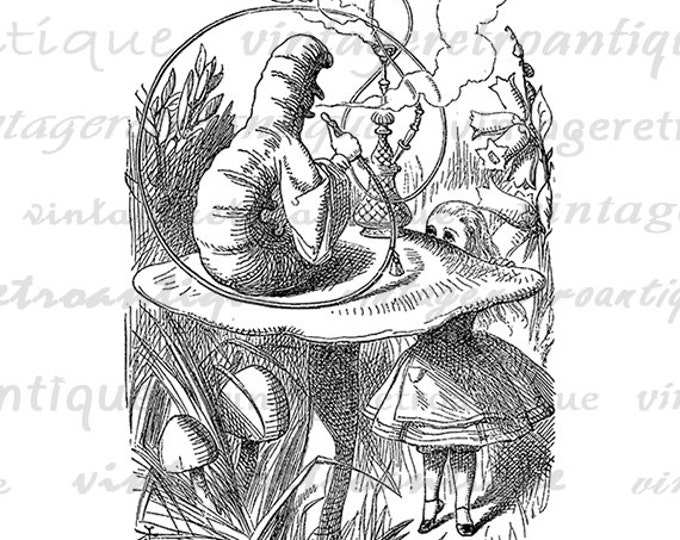 Printable Graphic The Caterpillar Image Alice in Wonderland Digital Download Jpg Png Eps HQ 300dpi No.026