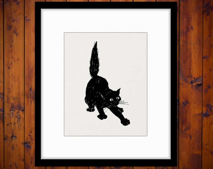 Printable Image Black Cat Graphic Digital Download Artwork Antique Clip Art Jpg Png Eps HQ 300dpi No.1916