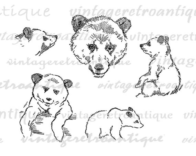 Antique Bear Cub Graphic Digital Printable Collage Sheet Download Image Vintage Clip Art Jpg Png Eps HQ 300dpi No.1143