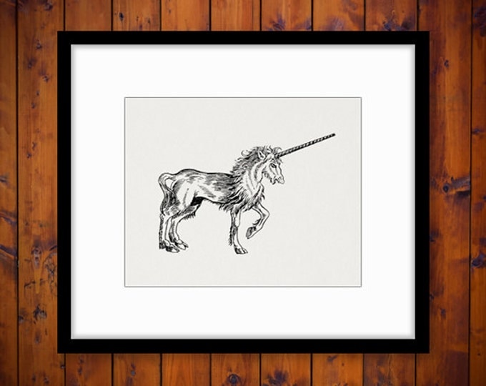 Printable Digital Mythical Unicorn Graphic Horse Image Myth Animal Download Vintage Clip Art Jpg Png Eps HQ 300dpi No.435