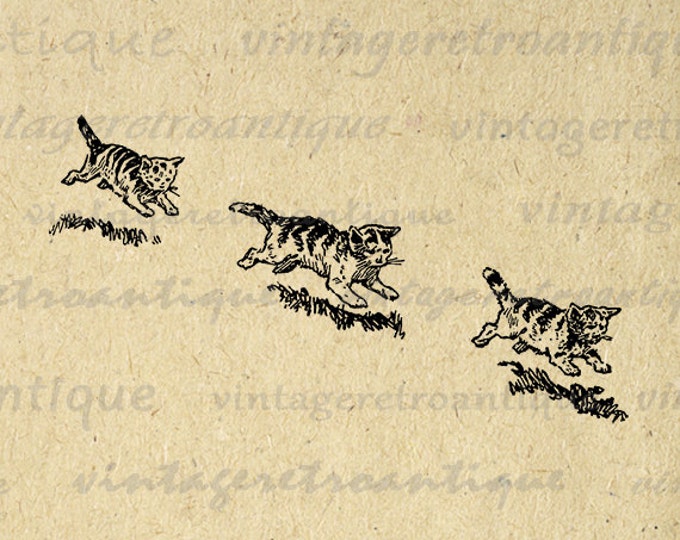 Printable Digital Three Kittens Image Cute Cat Download Illustration Graphic Vintage Clip Art Jpg Png Eps HQ 300dpi No.3579