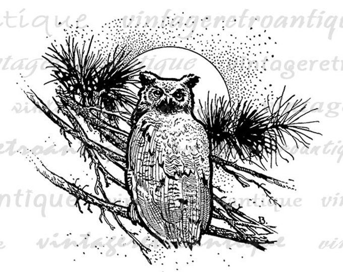 Printable Digital Owl Graphic Illustration Download Bird Image Vintage Clip Art Jpg Png Eps HQ 300dpi No.3822