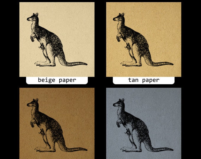 Kangaroo with Baby Kangaroo in Pouch Antique Graphic Digital Printable Download Image Vintage Clip Art Jpg Png Eps HQ 300dpi No.573