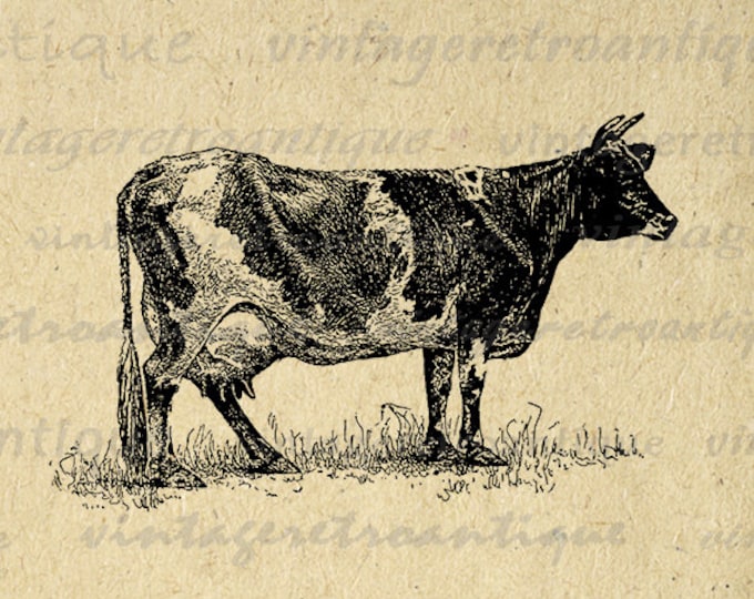 Printable Graphic Dairy Cow Download Illustration Digital Image Antique Clip Art Jpg Png Eps HQ 300dpi No.3161