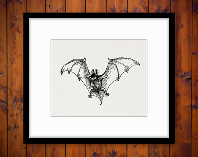 Antique Flying Bat Image Digital Graphic Halloween Printable Download T-Shirts Jpg Png Eps HQ 300dpi No.249