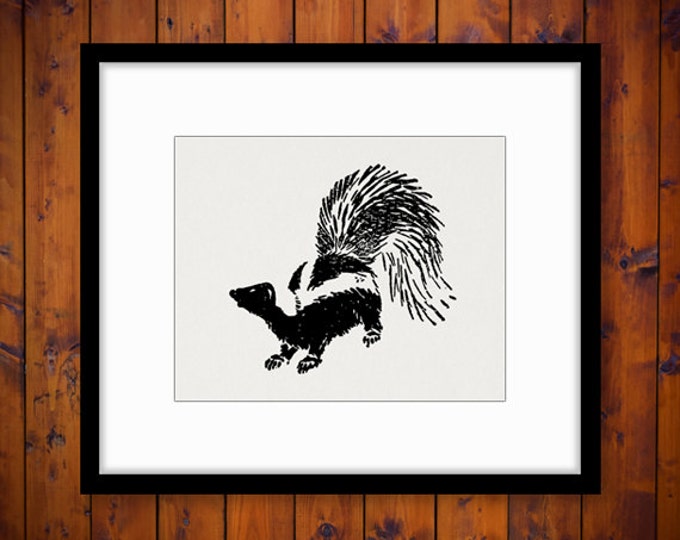 Skunk Image Printable Download Antique Graphic Digital Vintage Clip Art Jpg Png Eps HQ 300dpi No.068