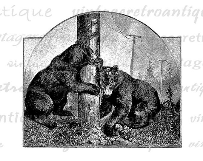 Digital Two Bears Image Printable Download Blackbear Graphic Vintage Clip Art Jpg Png Eps HQ 300dpi No.786