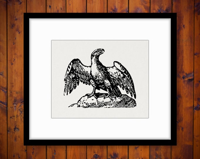 Eagle Printable Image Digital Antique Eagle Illustration Graphic Download Vintage Clip Art Jpg Png Eps HQ 300dpi No.3907