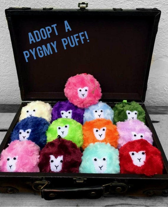 harry potter pygmy puff plush