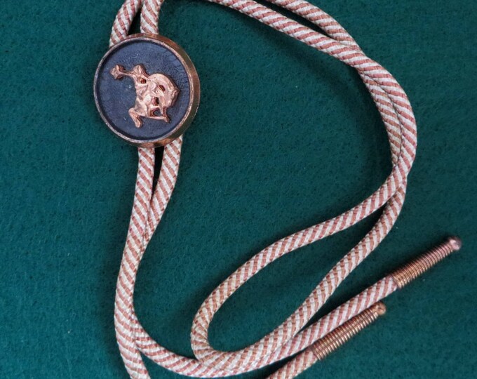 ON SALE! Cowboy Bolo Tie, Vintage Rodeo Bolo, Cowboy Western Tie, Striped Bolo