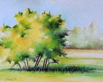 color pencil sketches of nature