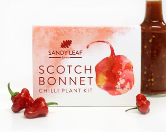Scotch Bonnet Chilli Growing Kit - just add water and sunlight!