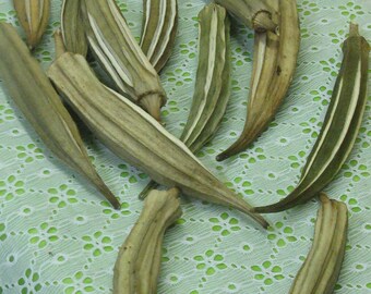 Dried Okra Pods - Georgia Grown Okra - Christmas Ornament Supply - Natural Craft Pods - Botanical Art Pods - Dried Seed Pods - Craft Supply