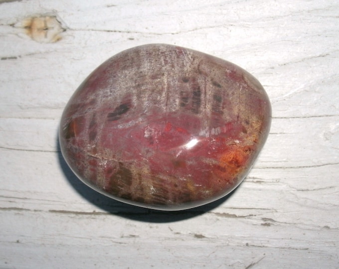 Polished Petrified Wood Palm Stone 85g ,colorful, display specimen, reds and browns, tan and grey, even some orange, OOAK gift, rocks