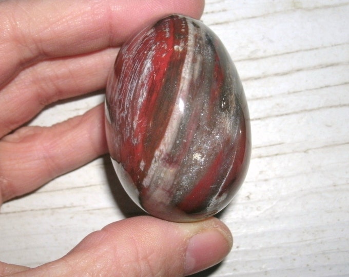Polished Red Petrified Wood Palm Stone Specimen with white, grey and brown, crystal healing, metaphysical, for decor, display specimen, OOAK