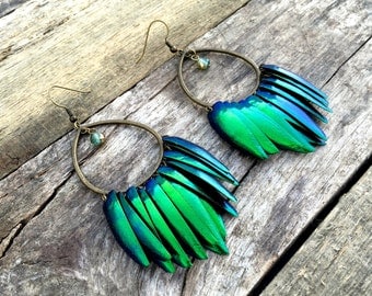 Statement hoops Real beetle wing earrings Fringe earrings Gold hoop earrings Emerald Green Beetle earrings Jewel beetle Real bug earrings