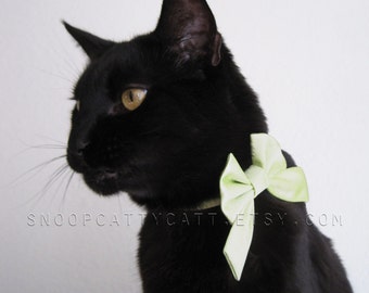 Lady Cat Bow - Lucky Charm