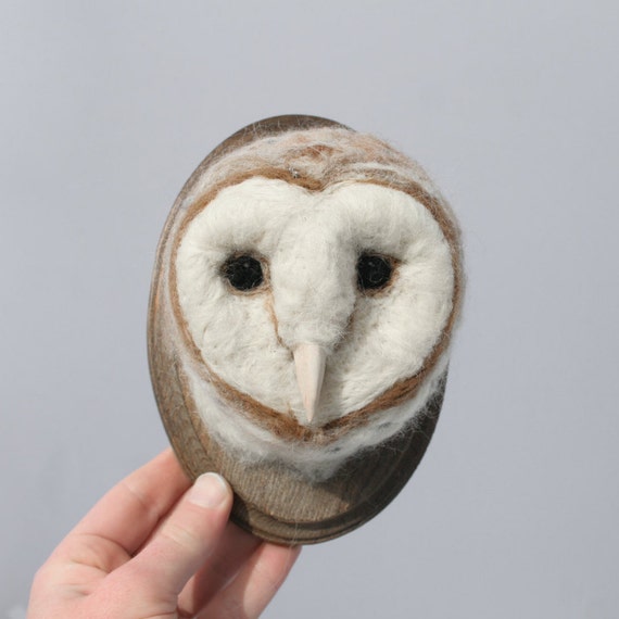 barn owl taxidermy for sale