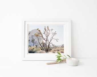 joshua tree photograph, joshua tree fine art print, joshua tree photo, joshua tree fine art photography, desert print, california print