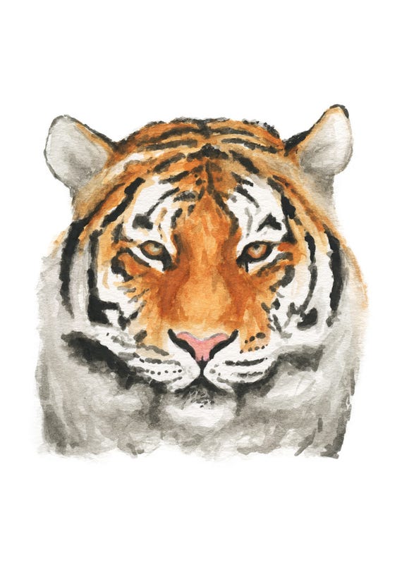 Watercolor Tiger Print Tiger Art Print Wall Decor