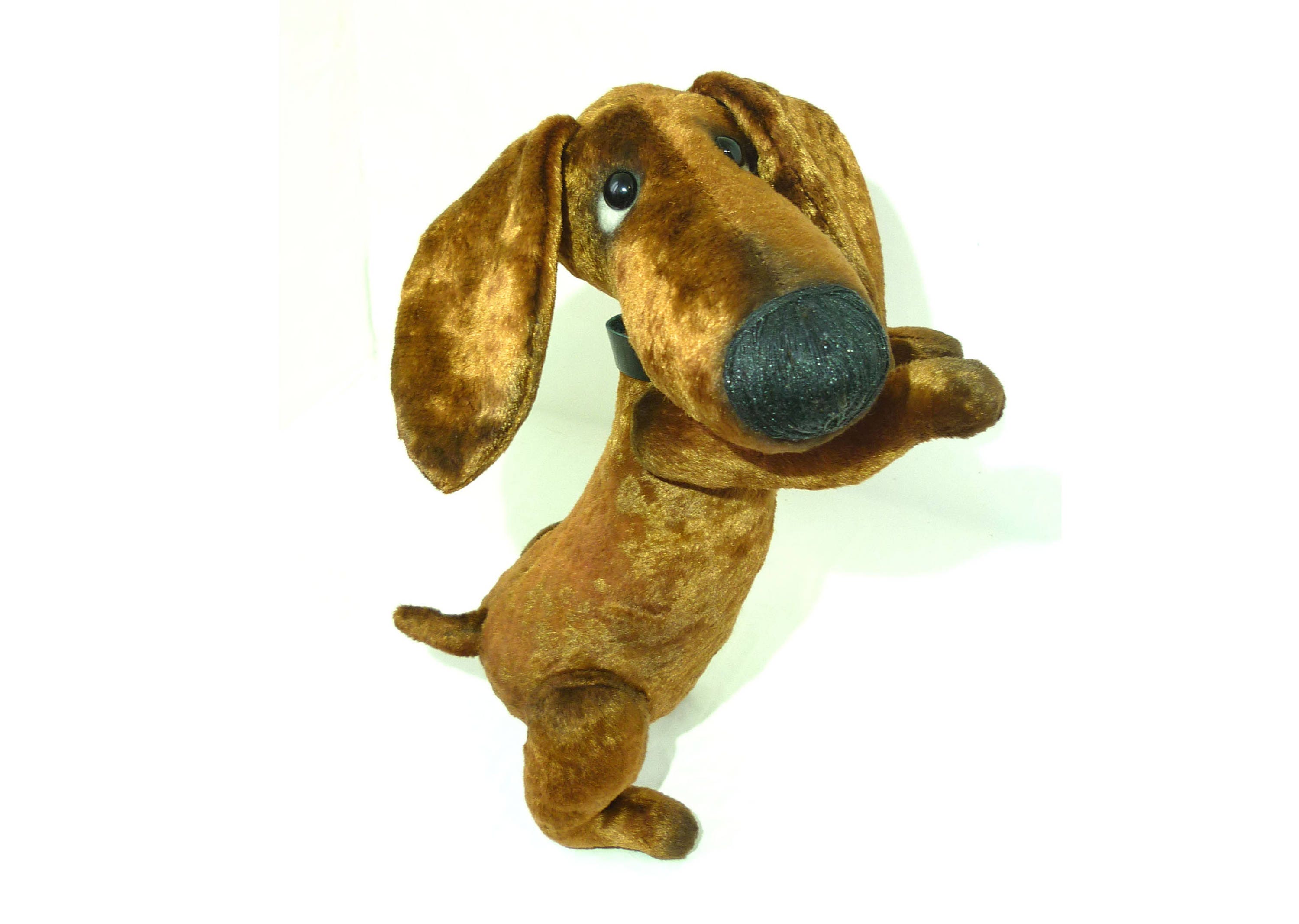 miniature dachshund teddy