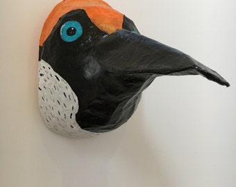 Paper mache Bird / Pecker / Woodpecker / Sicklebill animal head